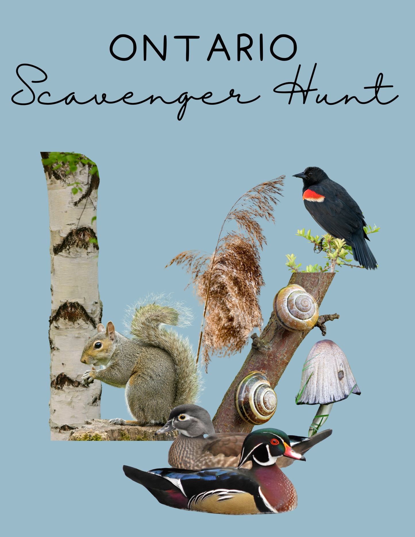 Ontario Scavenger Hunt