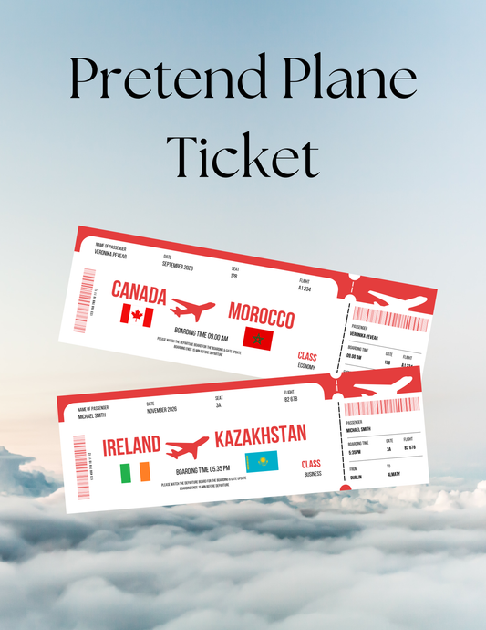 Plane Ticket