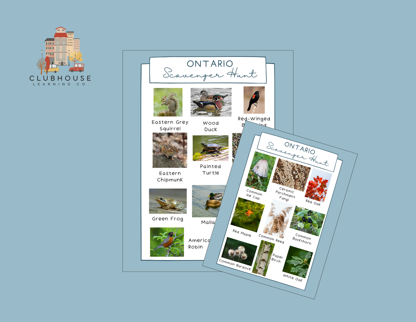 Ontario Scavenger Hunt